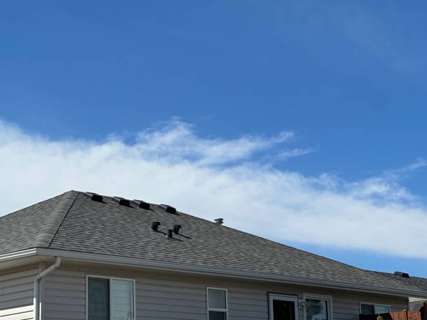 Best Solar Panel Roofing Installation  in Lakeside, TX